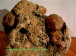 Granati var grossularia xx fino a 2cm